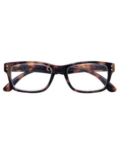 ZIPPO EYEGLASSES 31Z-PR69 100