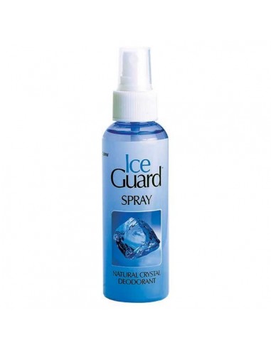 ICE GUARD SPRAY 100ml