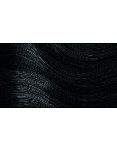 HERBATINT HAIR COLORS 1N BLACK 135ml